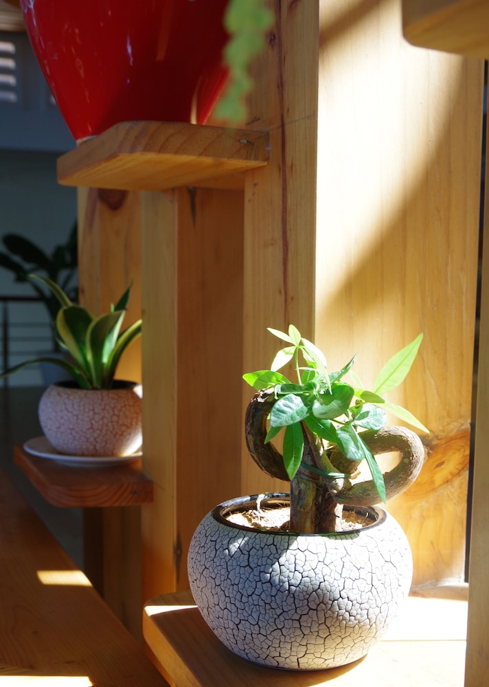 Ngoc Chau Hotel 35/60