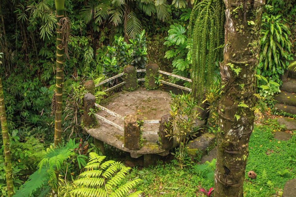Bali Jungle Huts 41/50