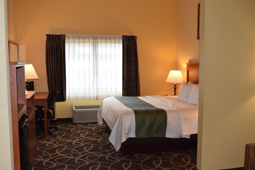 Quality Hotel & Suites At The Falls 15/51