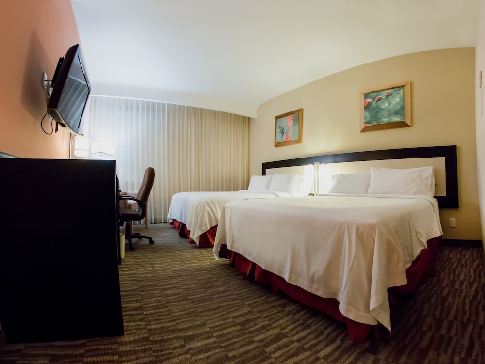 Excellence Express & Suites San Juan Del Rio 10/39