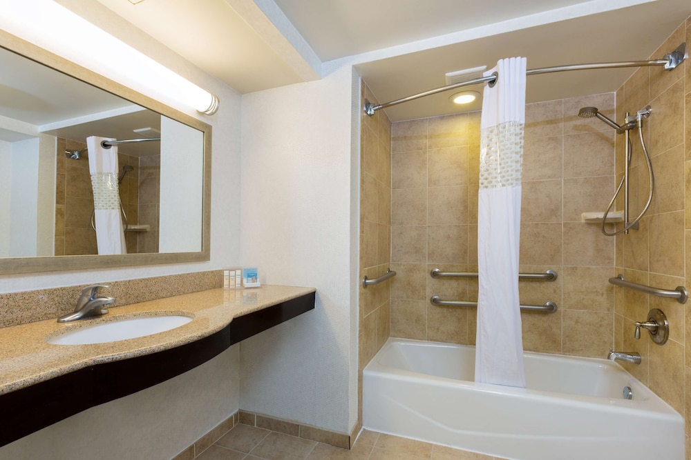 Hampton Inn Houston Near The Galleria 11/34