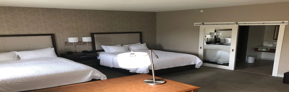 Hampton Inn And Suites Tampa Busch Gardens Area 20/46