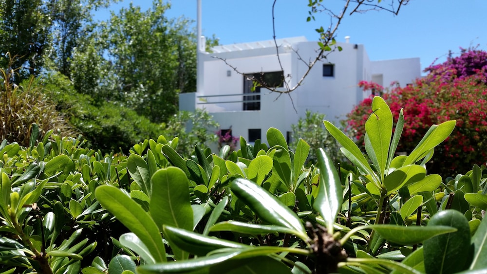 Posada De Los Pajaros 61/69
