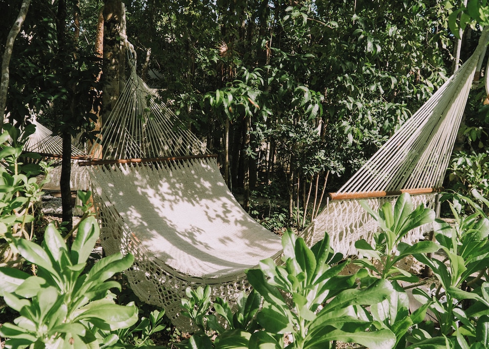 Kuun Taak Tulum 25/50