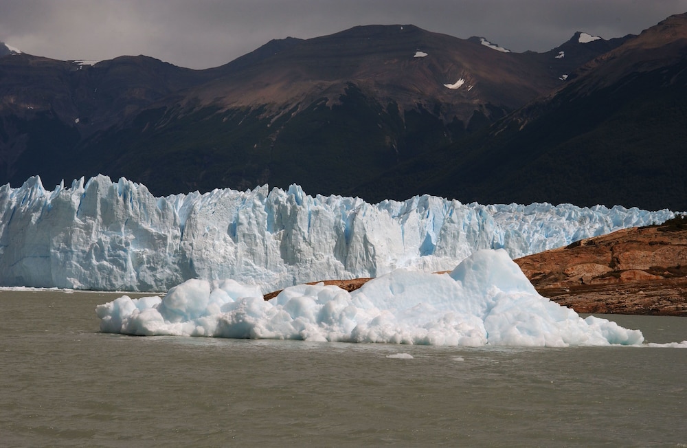 ALTO CALAFATE 44/50