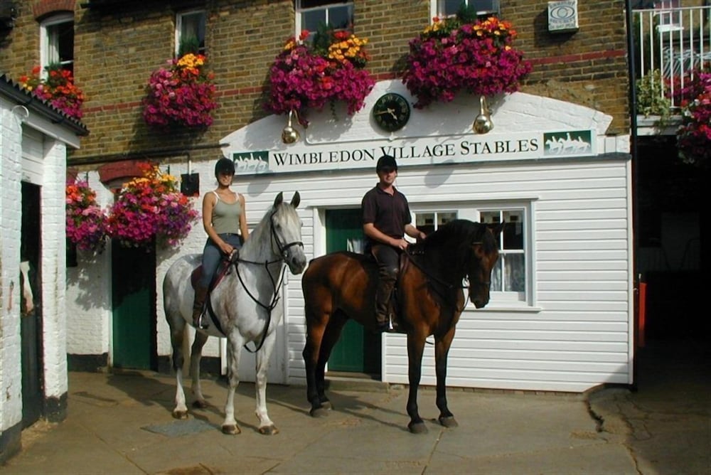 Wimbledon Holiday Lets 34/50