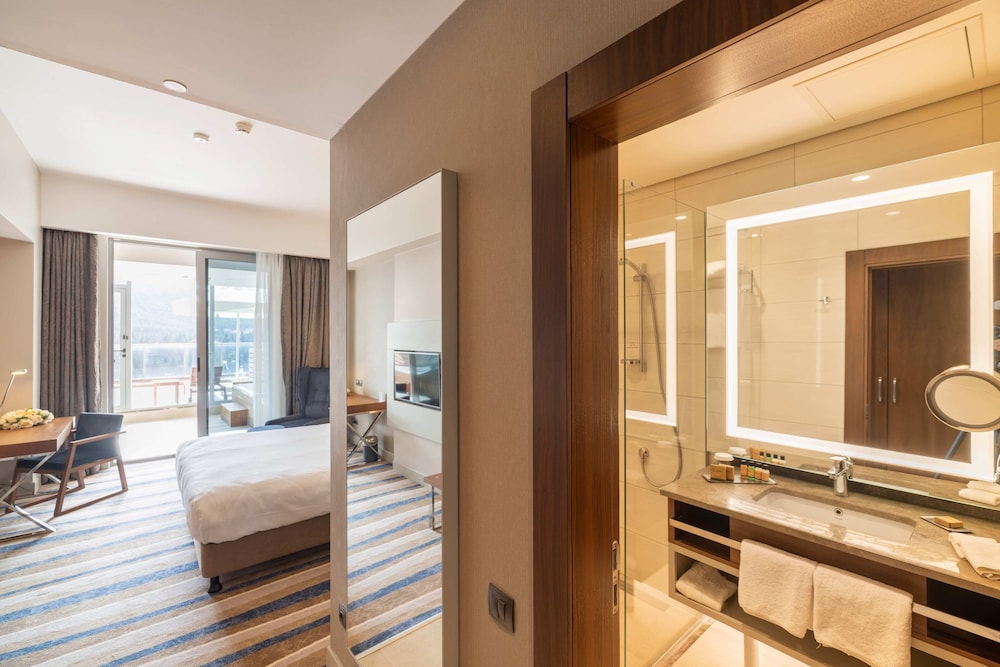 Doubletree By Hilton Eskisehir Turkey 49/51