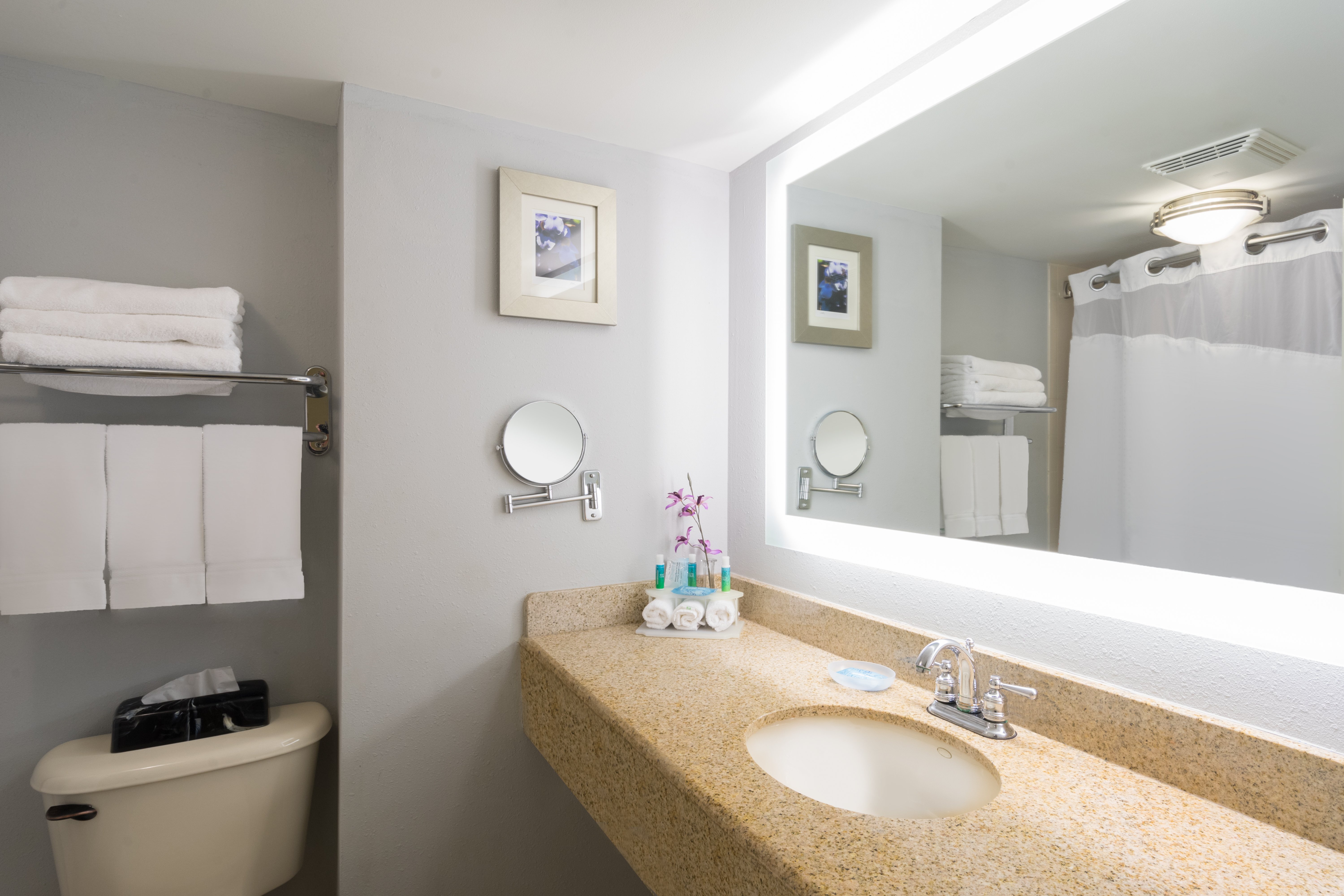 Holiday Inn Express Hotel Suites Easton 62/63