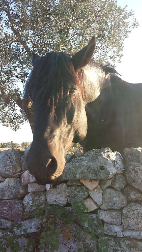 Masseria Gianca 34/39