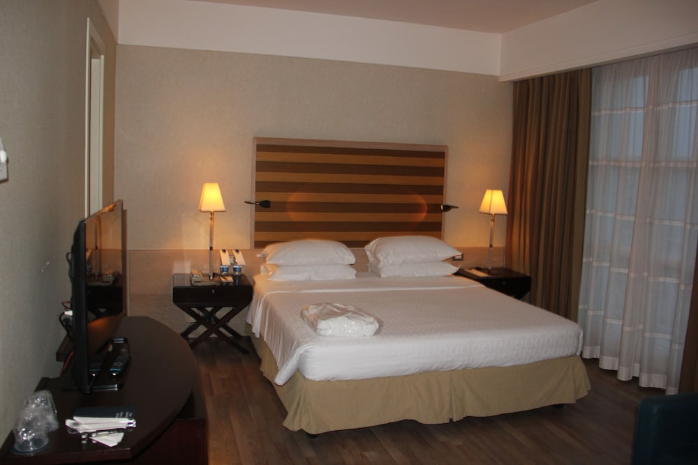 Sheraton Parco De Medici Rome Hotel 12/66