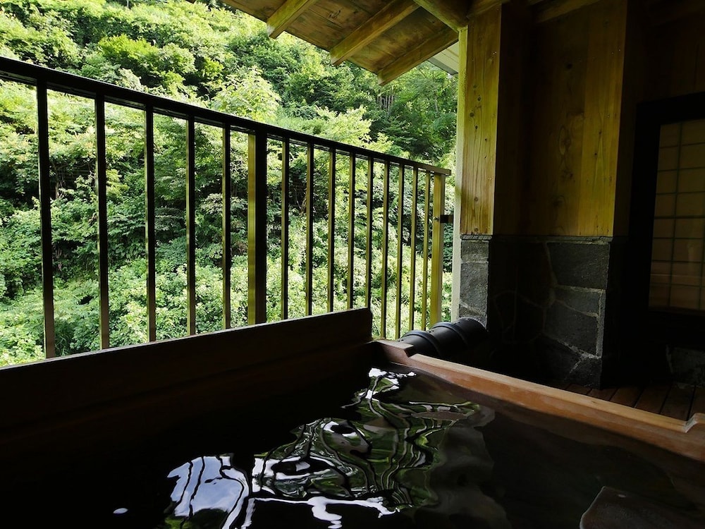 Matsunoyama Onsen Sake Hotel Tamakiya 29/50