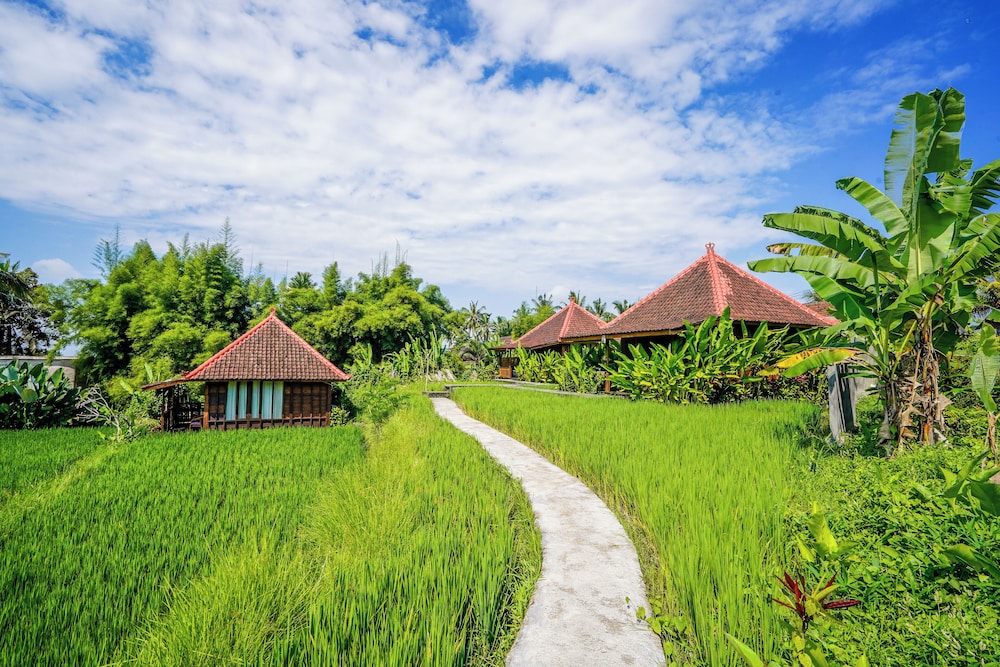 Ubud Sawah Homestay 41/50