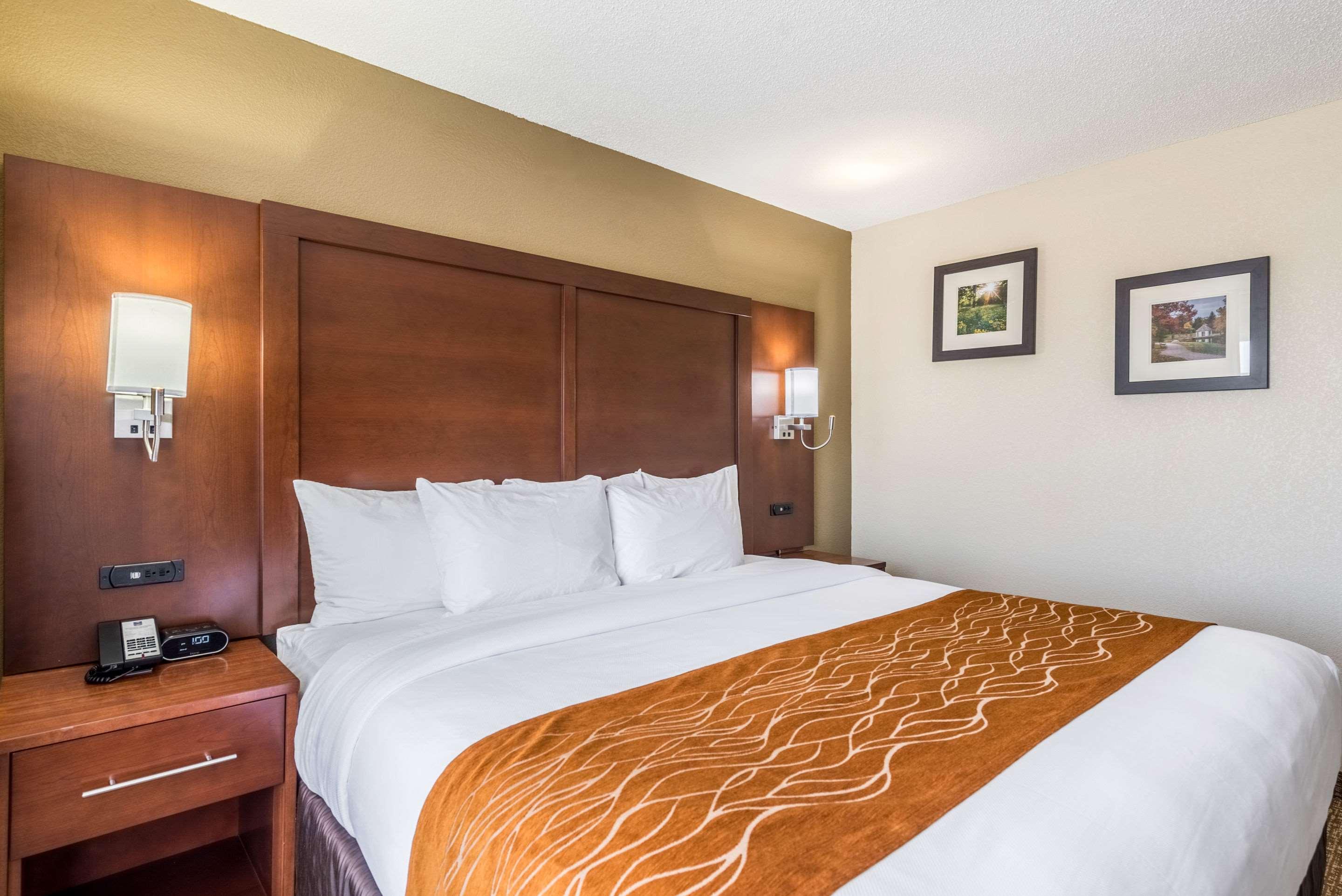 SUITE, KING BED