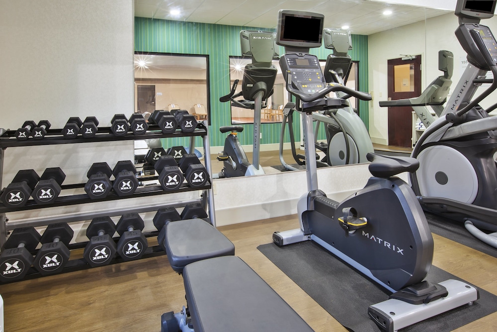 Holiday Inn Express Hotel Suites Niles 33/51