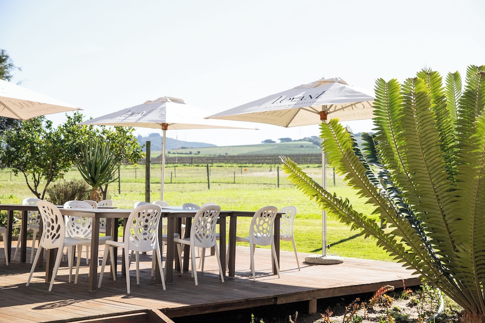 Lovane Boutique Wine Estate & Guesthouse 33/48
