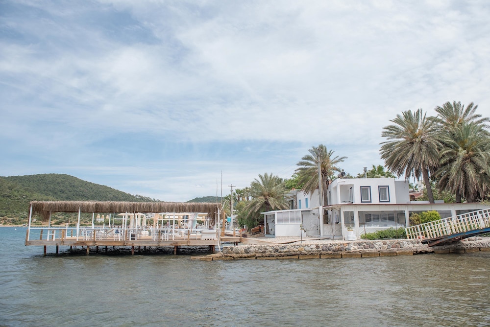 Palmiye Beach & Rest 53/64