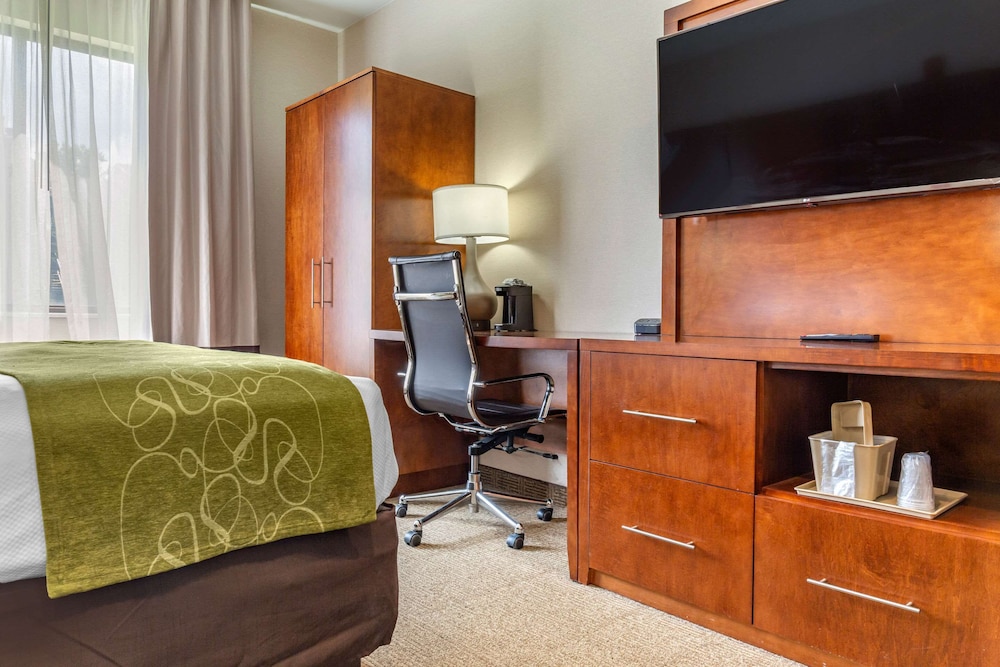 Comfort Suites Dover University Area 35/36