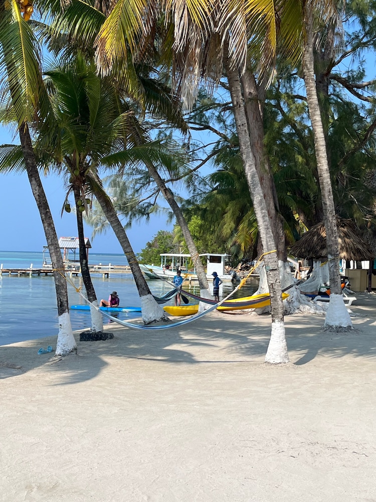 Blue Marlin Beach Resort 30/51