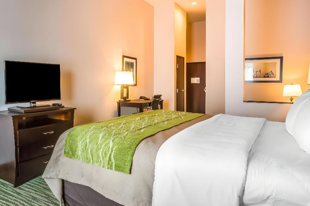 Upgrade, Suite, King Bed