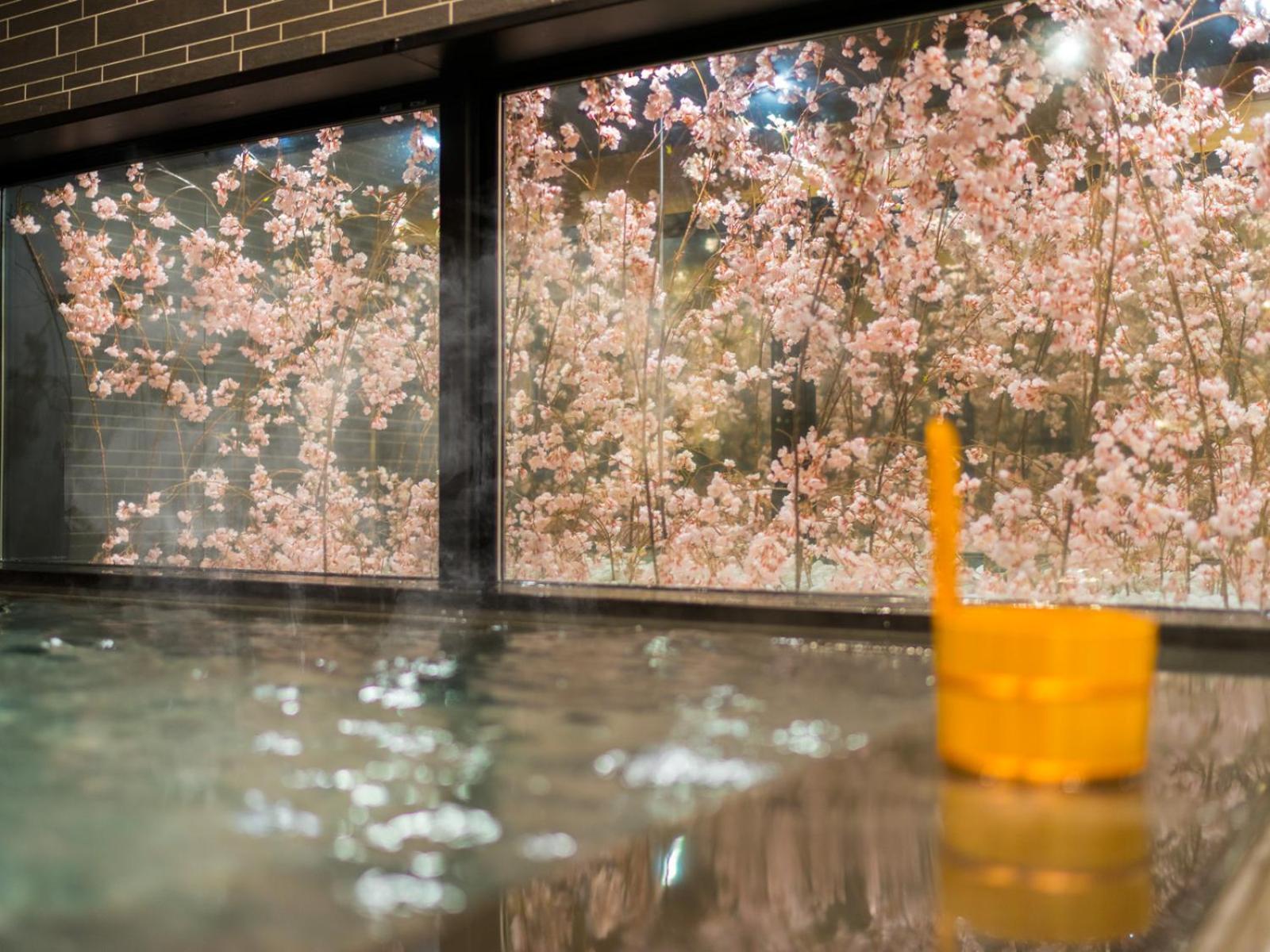 Super Hotel Lohas Ikebukuro-Eki Kitaguchi 30/50