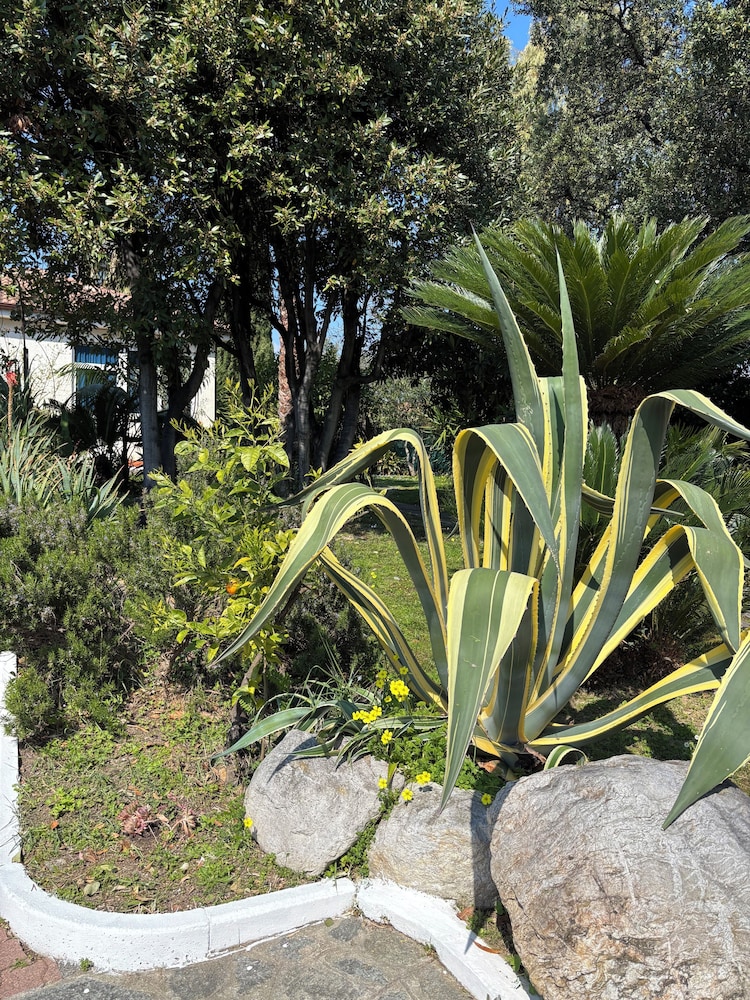 Villa Paola 46/51