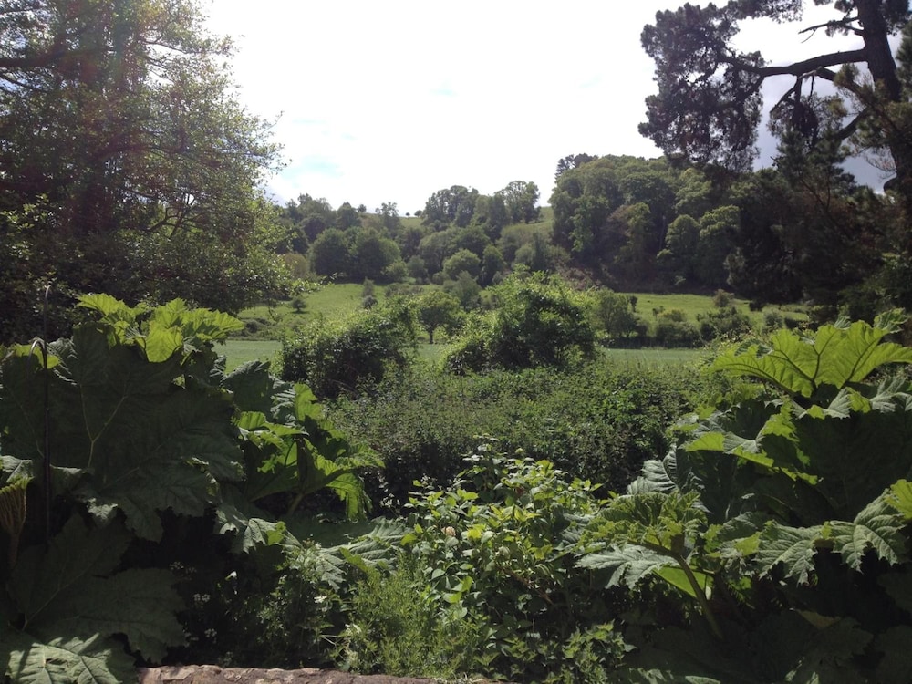 Dunster Mill House 33/48