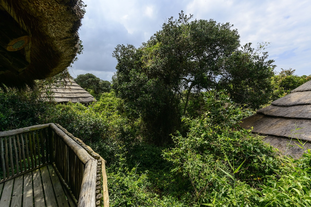 Thonga Beach Lodge 41/50