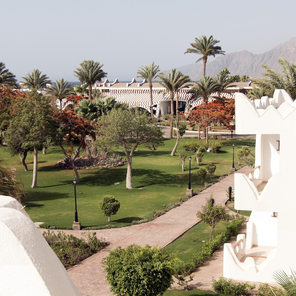 Swiss Inn Resort Dahab 39/70