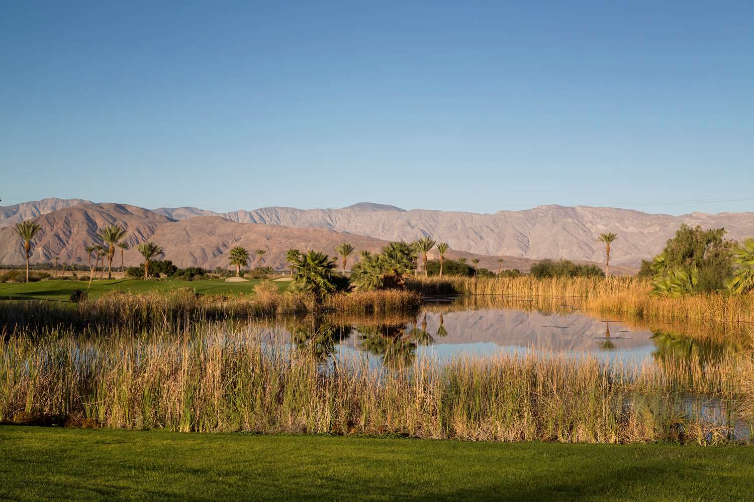 Borrego Springs Resort Golf Club And Spa 39/44