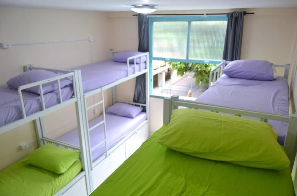 Solar Hostel 50/63