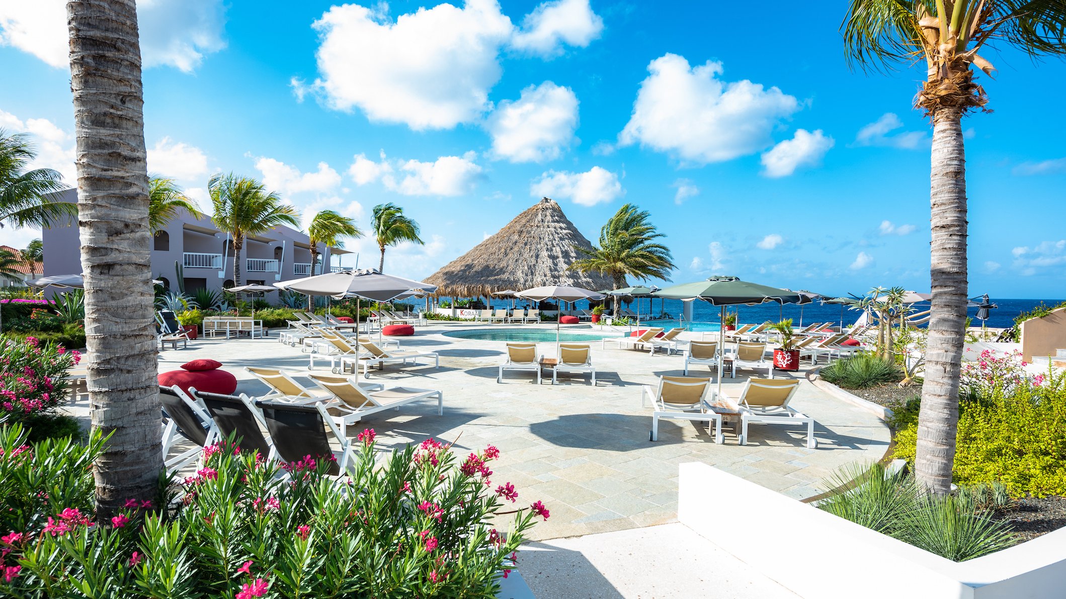 Coral Estate Luxury Resort 37/50