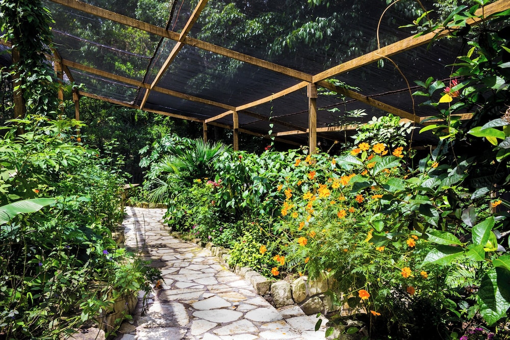Mayan Hills Hotel 28/39