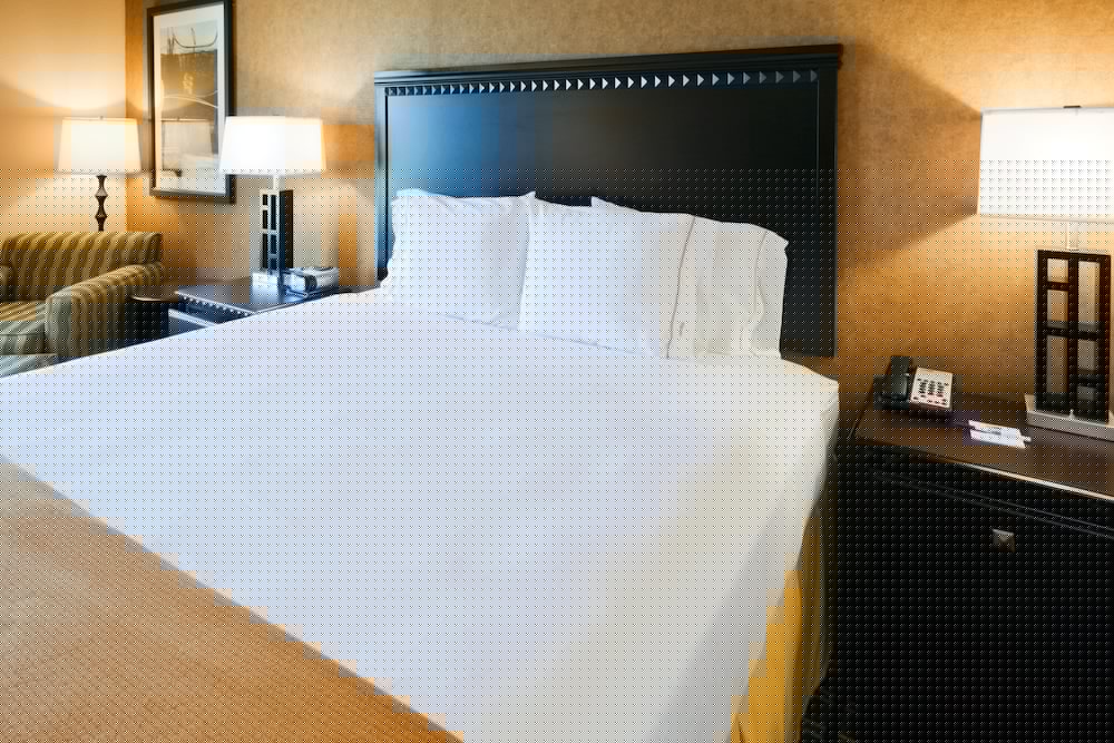 Holiday Inn Express Hotel Suites Ennis 13/70