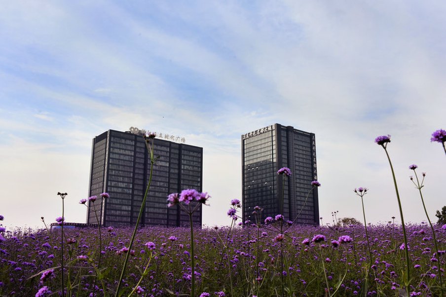 Grand New Century Hotel Canal Hangzhou 3/14