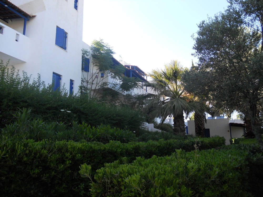 Thalia Bloom Apartments 41/62