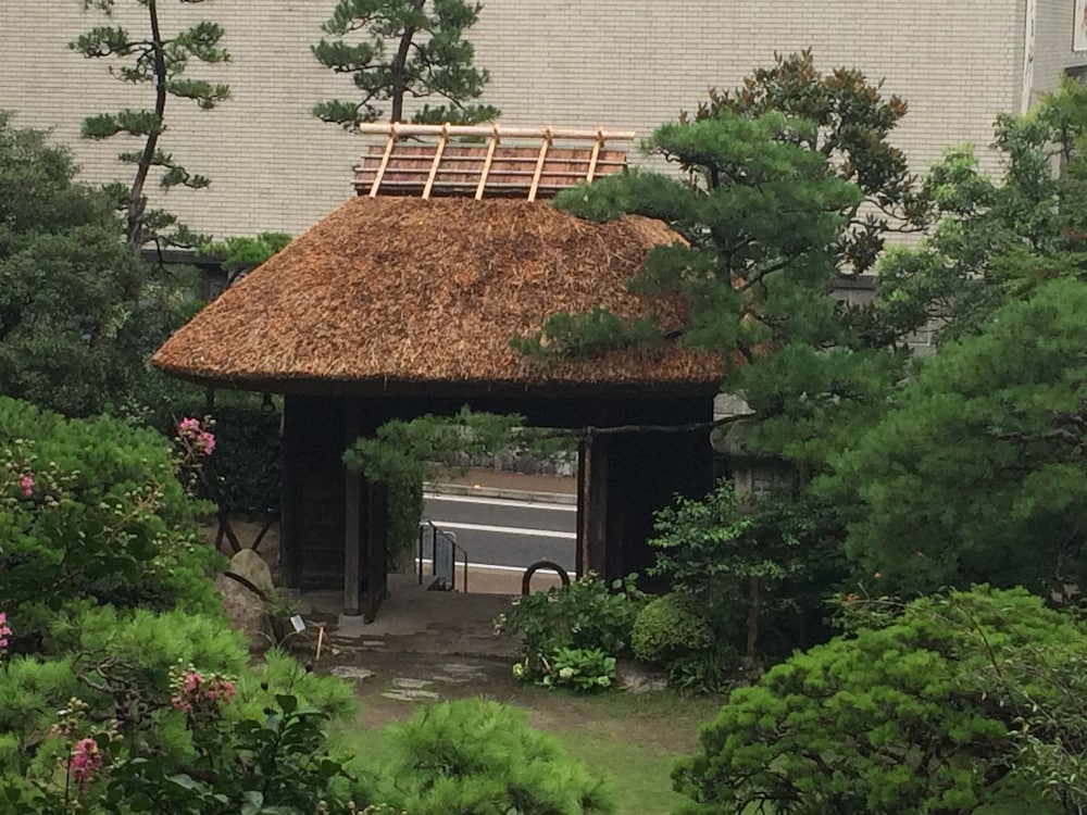 surroundings