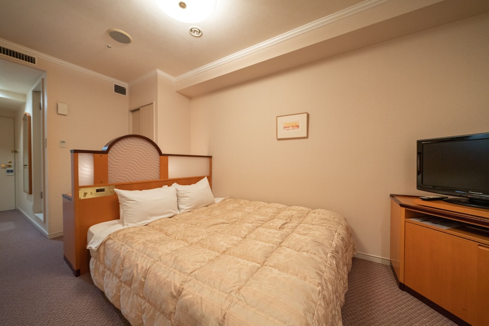 Hida Hotel Plaza 20/63