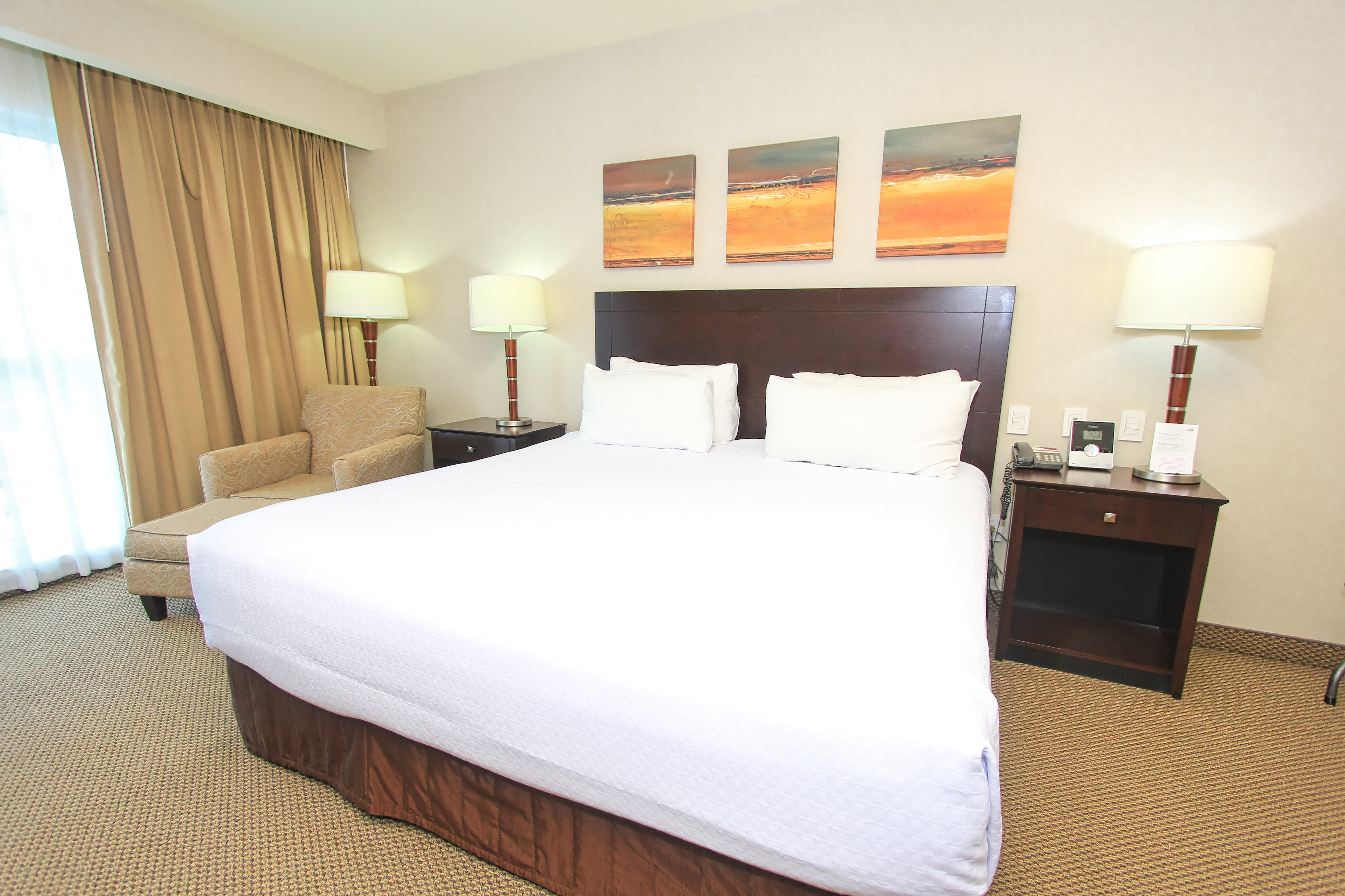 Crowne Plaza Leon 12/50