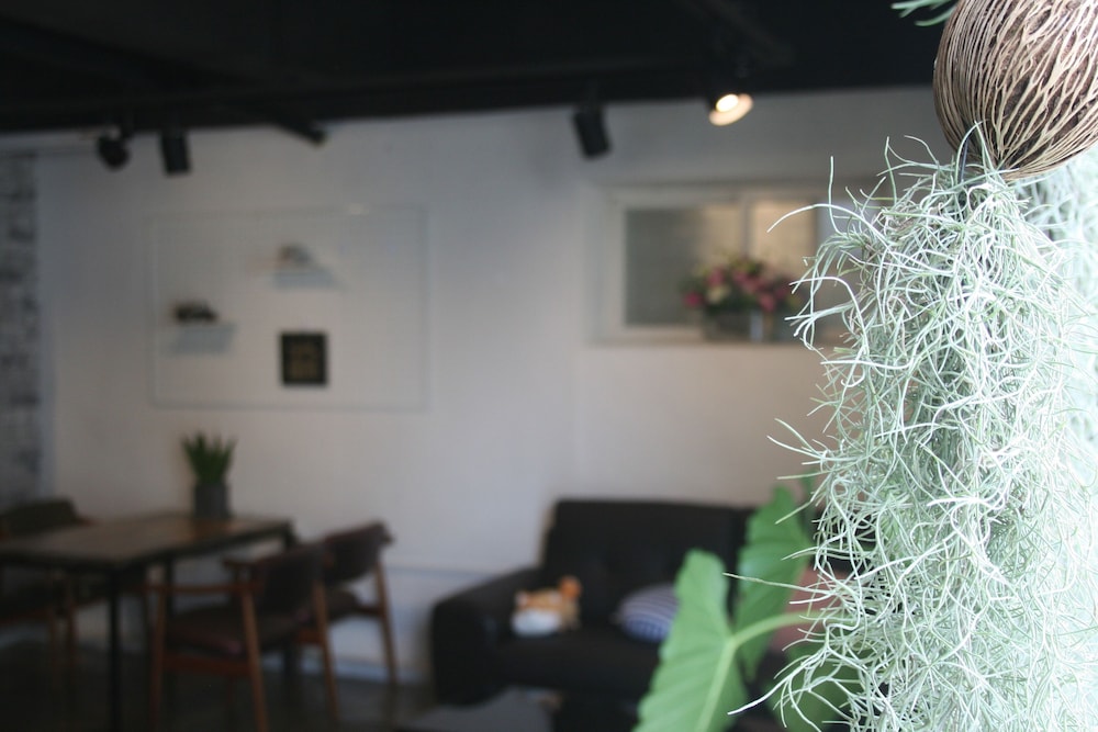 Gyeong's Hostel 59/70
