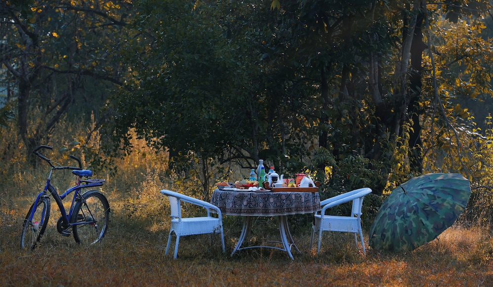 Pench Jungle Camp 60/71