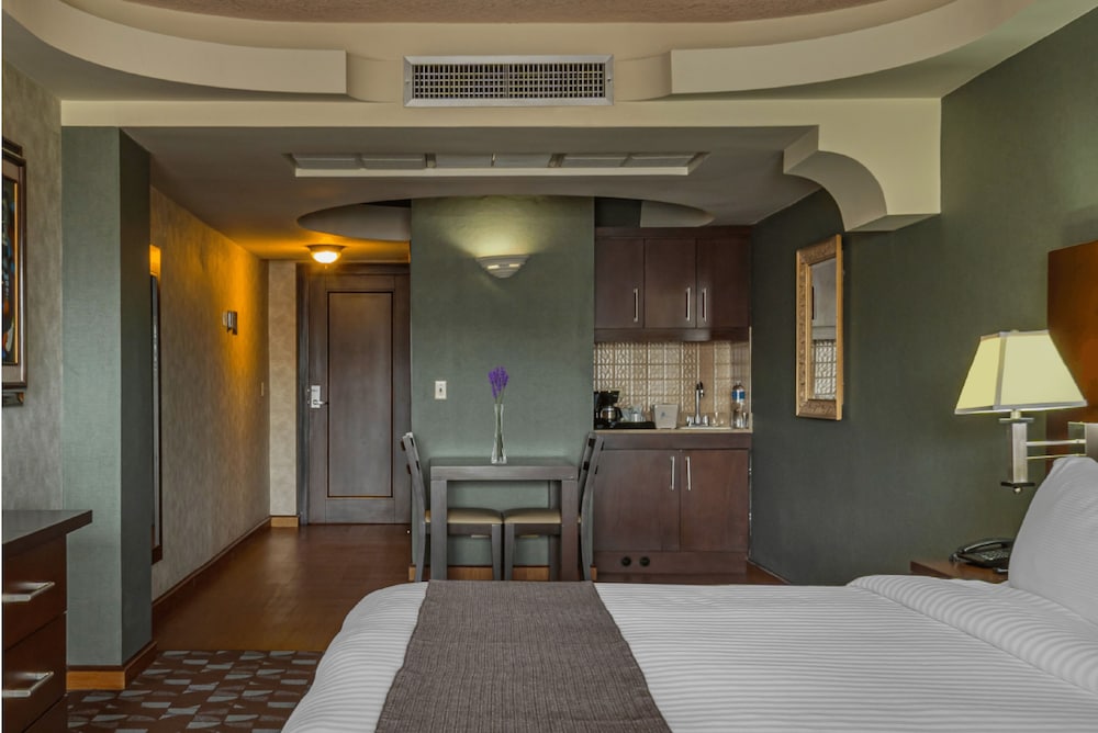 Plaza San Martin Hotel 28/69