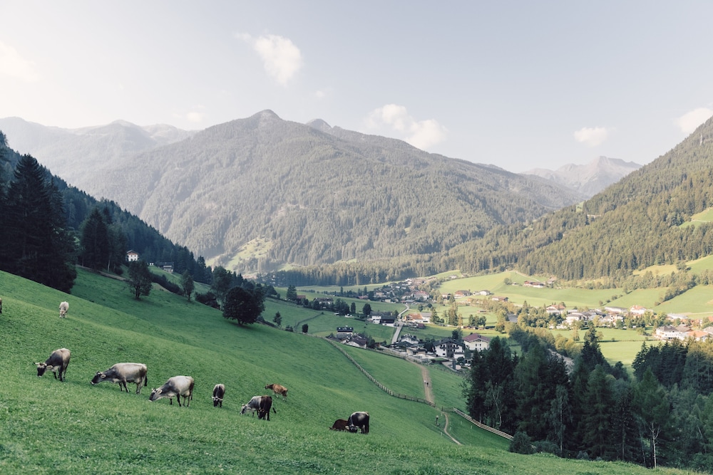 Alpenpalace Luxury Hideaway & Spa Retreat 39/50