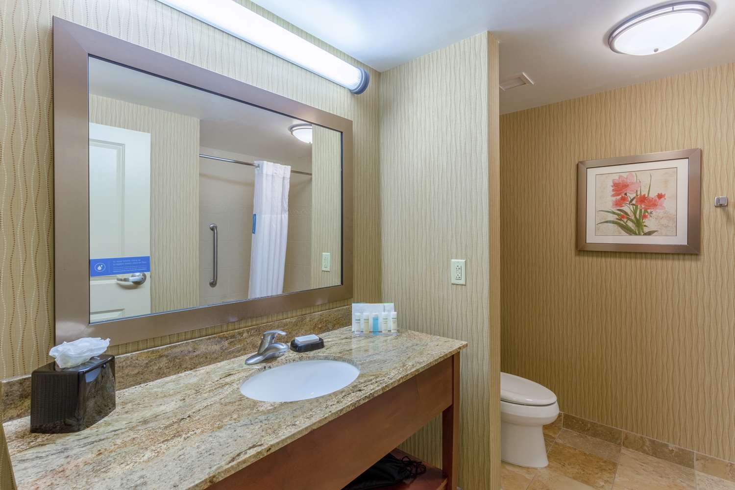 جناح استوديو بسرير كينج مع أريكة، Hampton Inn Baltimore Owings Mills 4/4