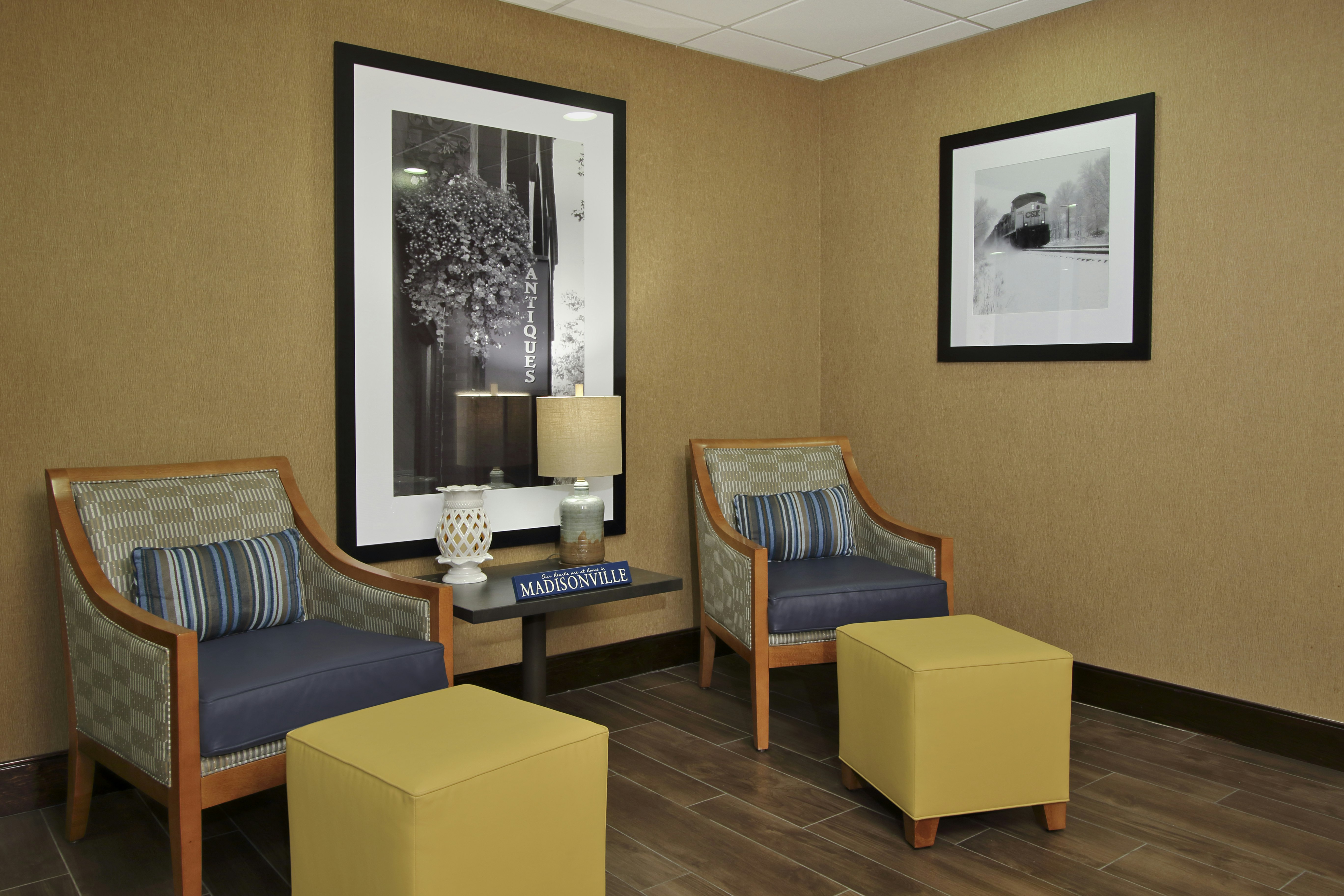 Hampton Inn & Suites Madisonville 13/20