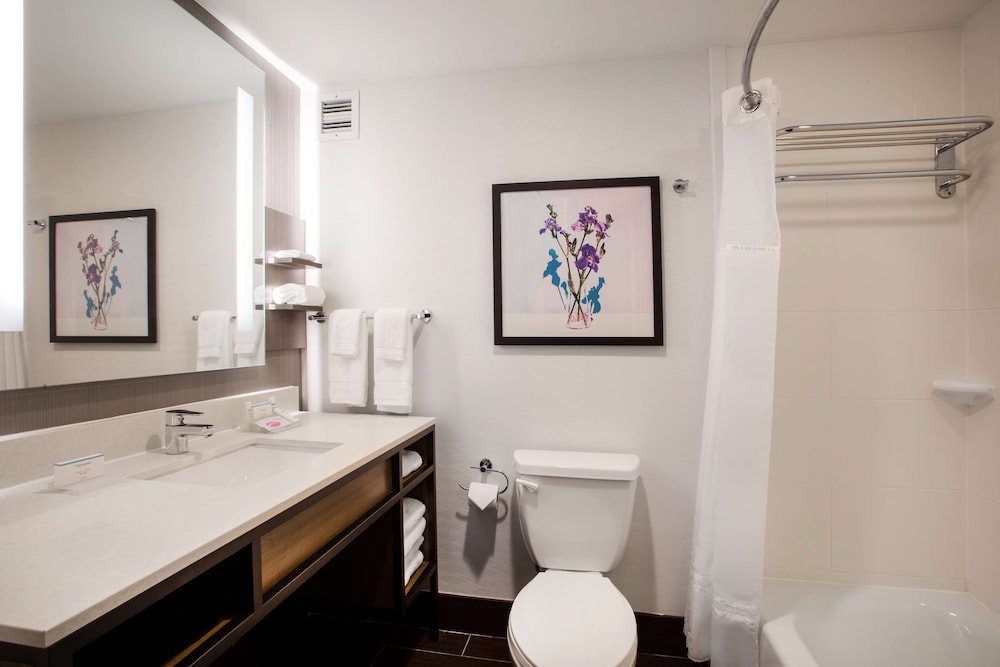 Hilton Garden Inn Nashville-Smyrna 18/55