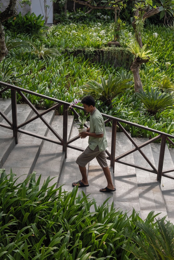 Dialoog Seminyak 44/54