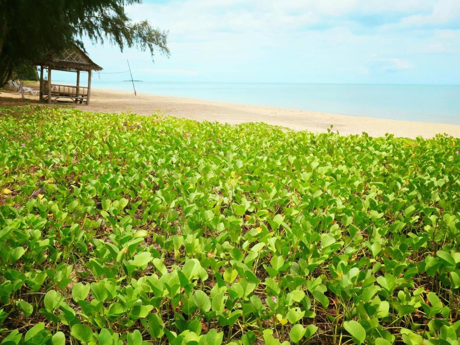 Bayview Beach Resort 39/54