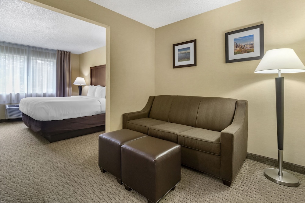 Comfort Inn & Suites Bothell - Seattle North 17/29