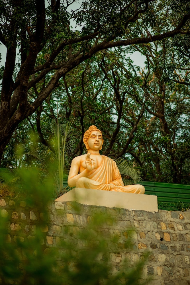 Sterling Palm Bliss Wellness Resort, Rishikesh 34/62