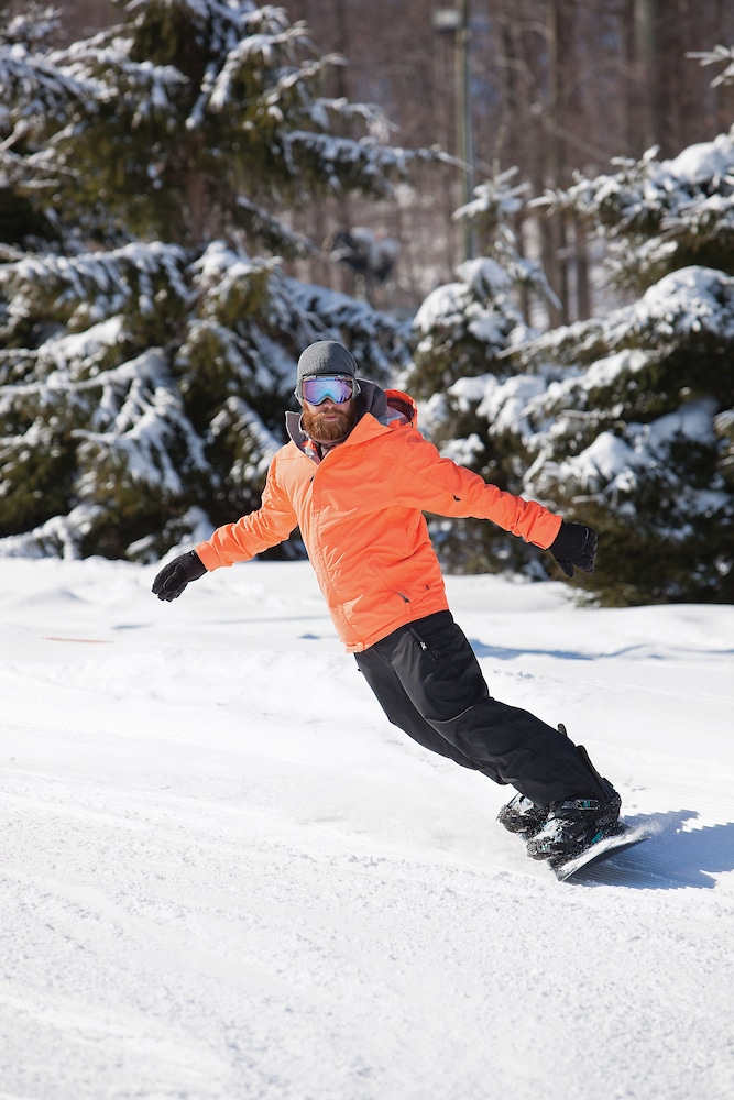 Bear Creek Mountain Resort 20/64